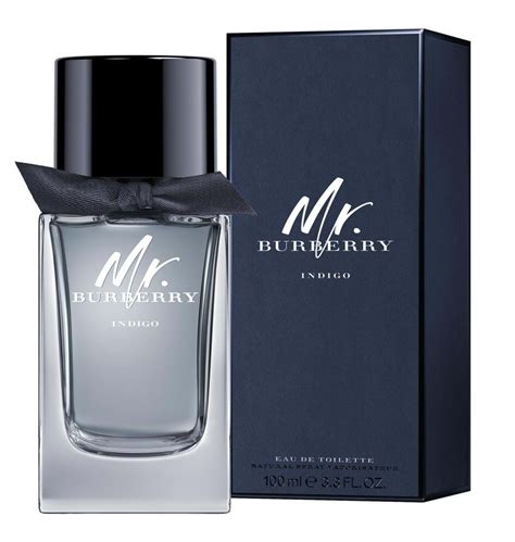 burberry profumo indigo|mr burberry indigo cologne reviews.